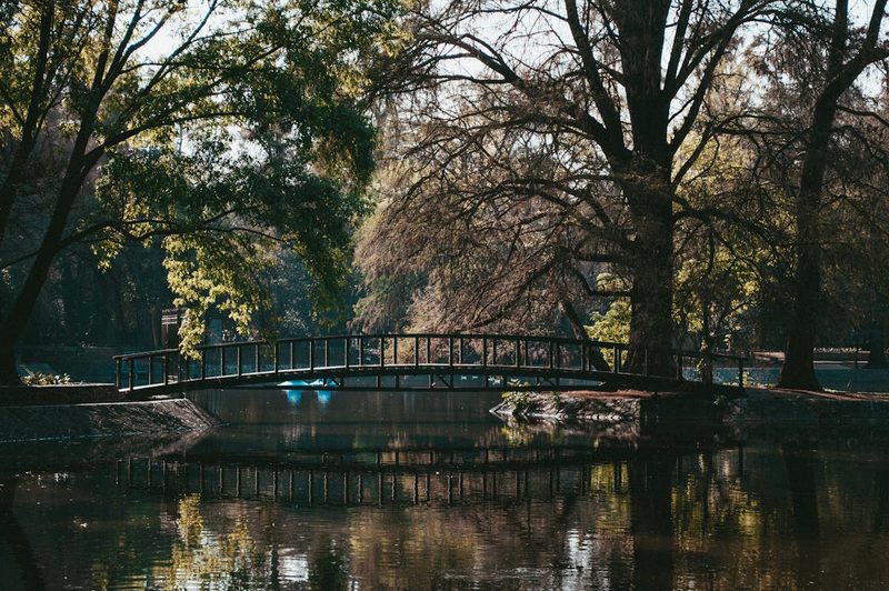 Serene view of a bridge over calm water surrounded by lush trees in Chapultepec Park