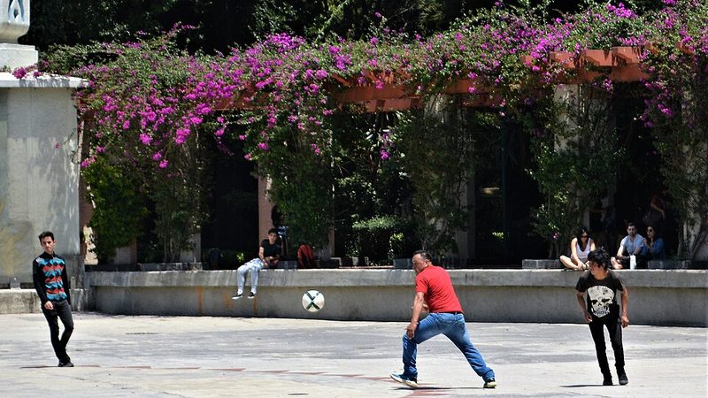 Tree-lined street in the Condesa neighborhood of Mexico City