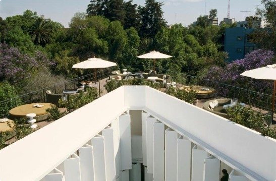 Condesa DF stylish boutique hotel in the Condesa neighborhood
