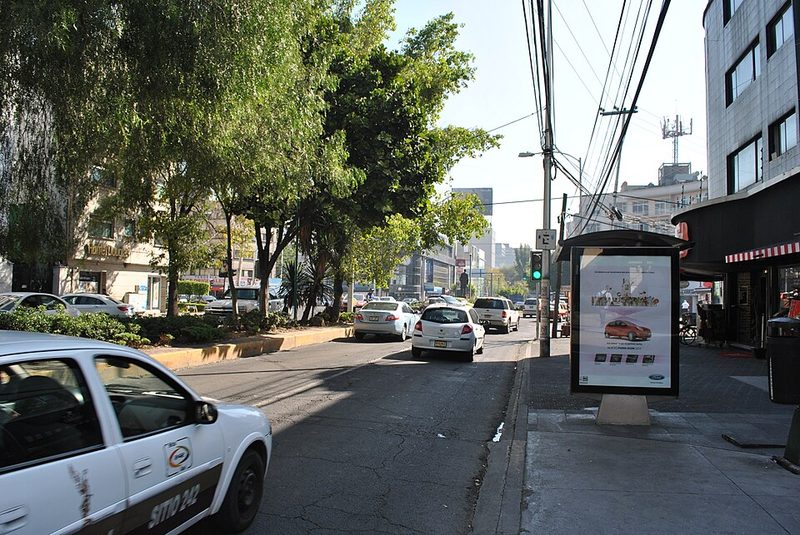 Tree-lined Avenida Presidente Masaryk luxury boulevard in Polanco Mexico City