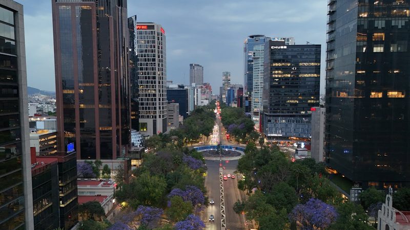 Aerial view of Paseo de la Reforma boulevard lined with blooming jacaranda trees and skyscrapers