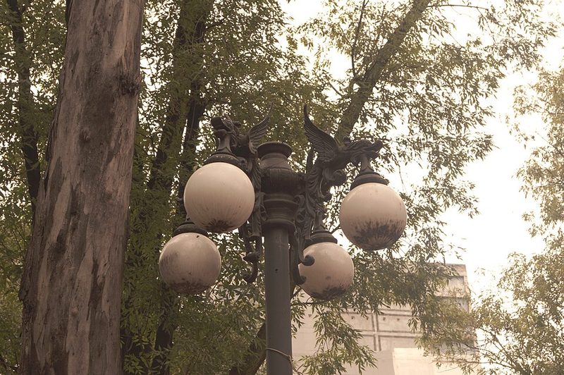 Decorative street lamps lining Avenida Alvaro Obregon in Roma Norte Mexico City