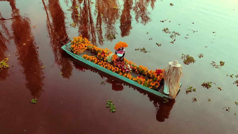 Vibrant trajinera boat decorated with flowers on the Xochimilco canals for Dia de Muertos