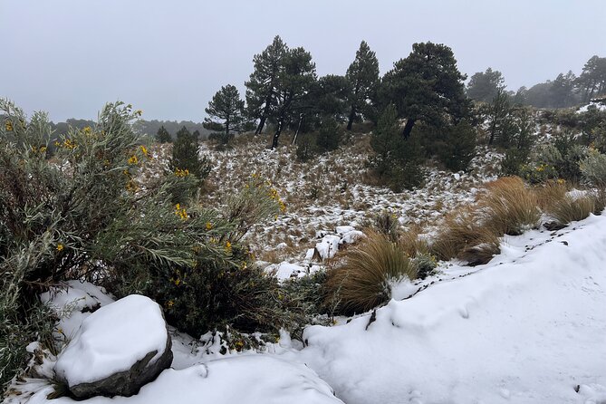 3 Hour Private Hike: Mountain Nevado Toluca from Mexico City - What the $117.99 price covers