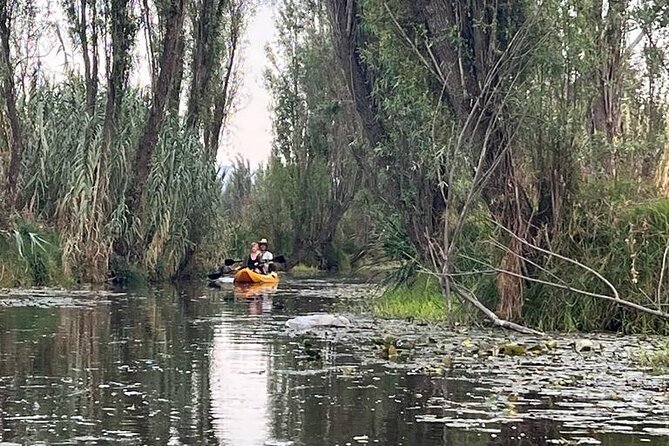 3 Hours of Kayaking at the Ancient Canals of Xochimilco - Key points to know before booking