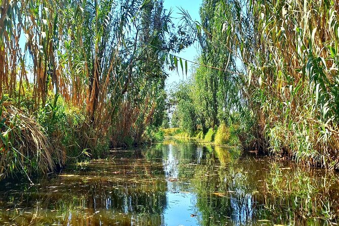 3 Hours of Kayaking at the Ancient Canals of Xochimilco - What Grant adds to the experience