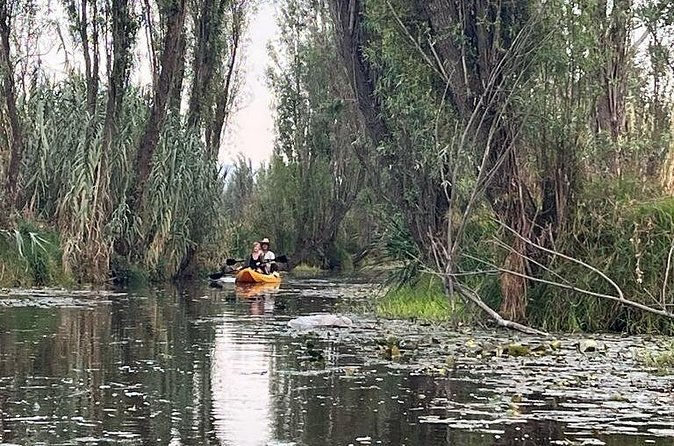 3 Hours of Kayaking at the Ancient Canals of Xochimilco - Why the dawn departure is worth the alarm