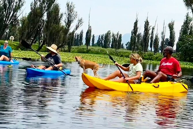 3 Hours of Kayaking at the Ancient Canals of Xochimilco - The physical side of three hours on the water