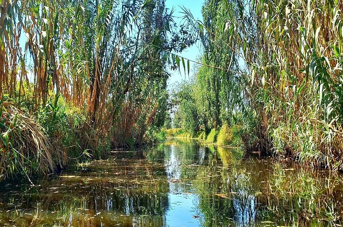 3 Hours of Kayaking at the Ancient Canals of Xochimilco - Who will enjoy this most