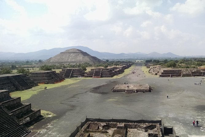 6-Night Best of Central Mexico Tour: Teotihuacan Pyramids, Taxco, Cuernavaca and Puebla from Mexico City - Day four: Xochimilco and Coyoacan