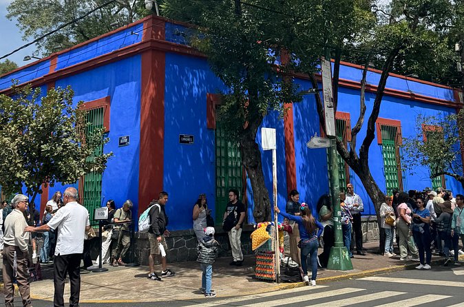 Admission Tickets to Anahuacalli Museum and Frida Kahlo - Ticket delivery is the main weakness