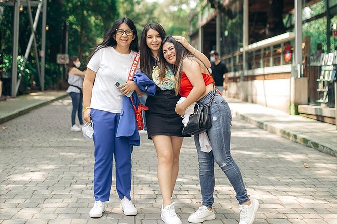 Anthropology Museum, Chapultepec Castle & Cable Car Tour - The Angel of Independence and an unclear finish