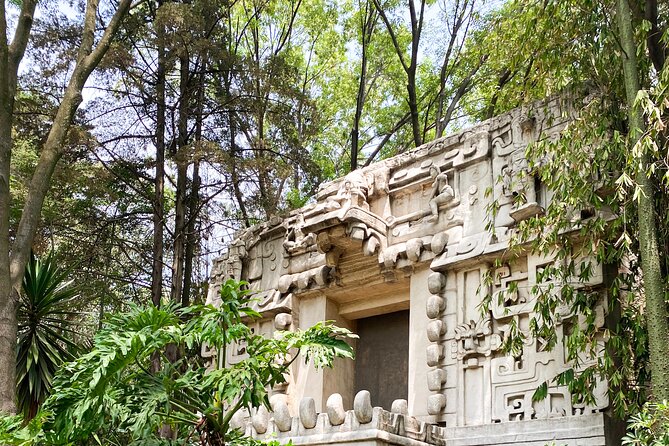 Anthropology Museum Early Access Tour - The value of $14 per person
