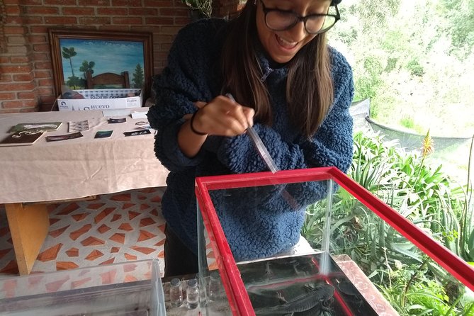 Axolotl Tour from CDMX - A possible stop in Tepotzotlan afterward