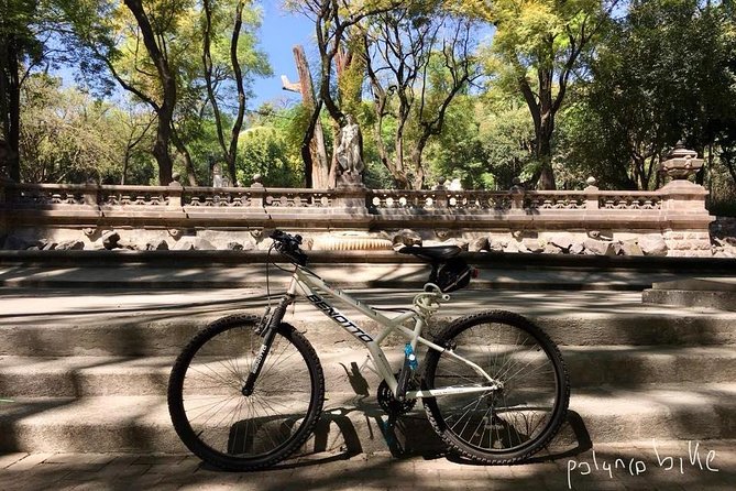 Bike Tour in Mexico City - What the guide adds to the forest