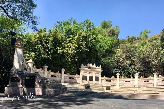 Bike Tour in Mexico City - The rhythm of the two-hour forest ride