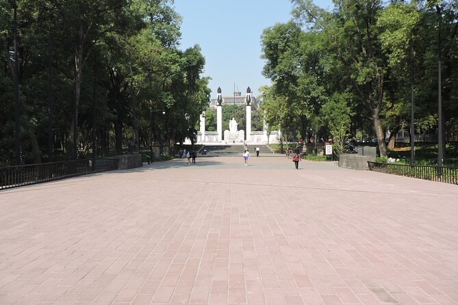 Bike tour in the Chapultepec Forest and Roma Condesa - A guide-led ride with a neighborly feel