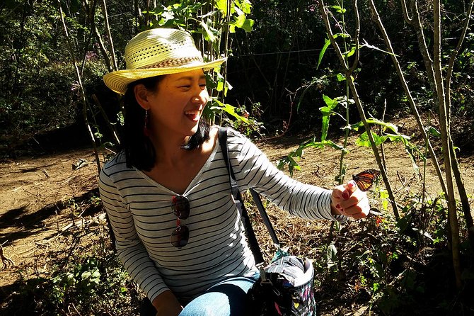 Butterfly Monarch Tour from Mexico City - Booking details worth checking