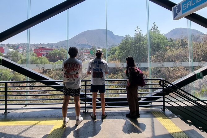 CableCar Experience: Off the Beaten Path Mexico City Walking Tour - Riding Línea 2 of the Cablebús
