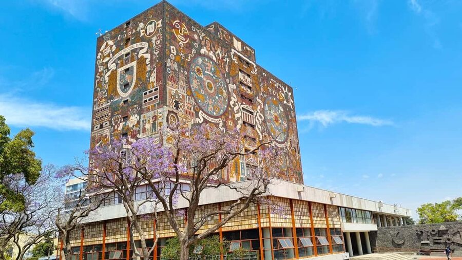CDMX: Coyoacán, UNAM, Xochimilco, and optional Frida Kahlo Museum - What the 10-hour schedule feels like