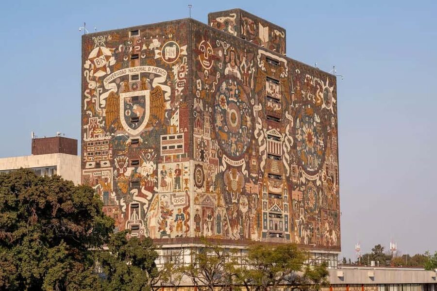 CDMX: Coyoacán, UNAM, Xochimilco, and optional Frida Kahlo Museum - The cooperative shop and the first shopping stop