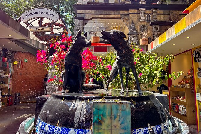 CDMX Enjoy a unique tour of Xochimilco and Coyoacán - Who should book this experience