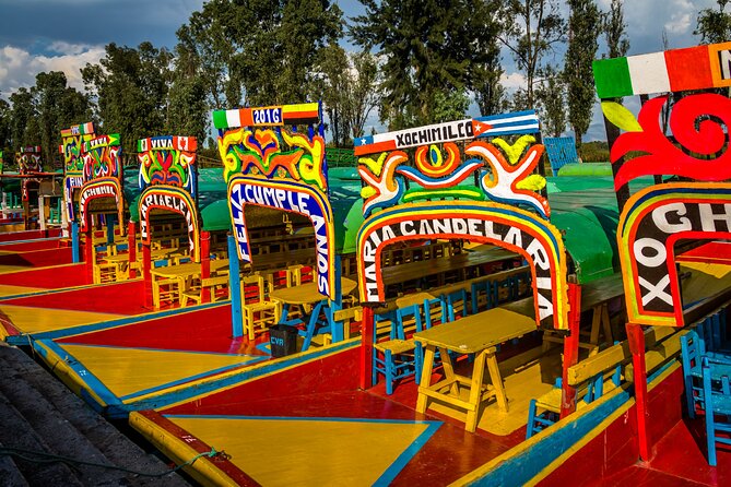 CDMX Enjoy a unique tour of Xochimilco and Coyoacán - UNAM and the Central Library murals