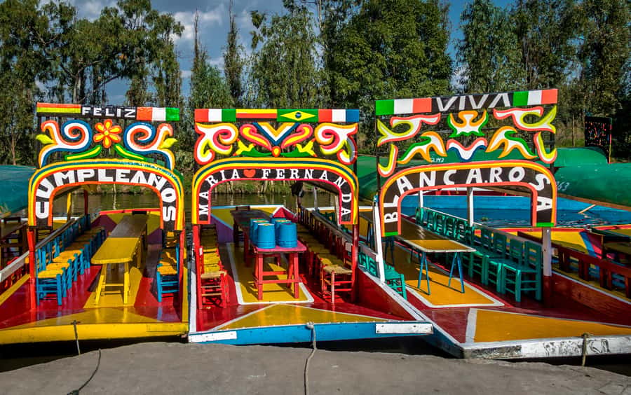 CDMX: Tour of Xochimilco and Coyoacán with option to visit the Frida Kahlo Museum - UNAM puts modern Mexico on the walls