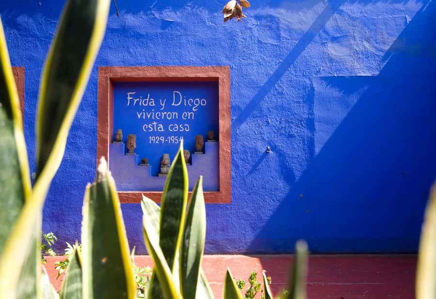 CDMX: Tour of Xochimilco and Coyoacán with option to visit the Frida Kahlo Museum - Small details that make booking easier