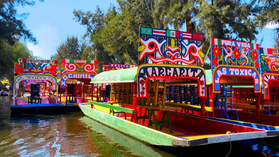 CDMX: Xochimilco Trajinera Party, Drinks, Mariachi & Tacos - Mariachi first, then the party playlist