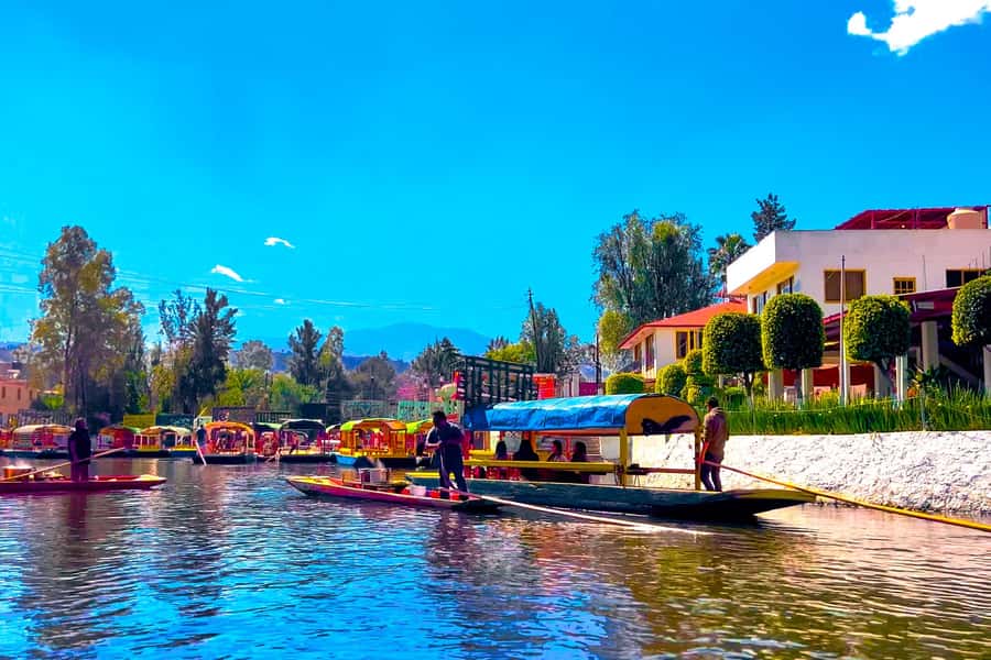 CDMX: Xochimilco Trajinera Party, Drinks, Mariachi & Tacos - Practical tips for a smoother evening