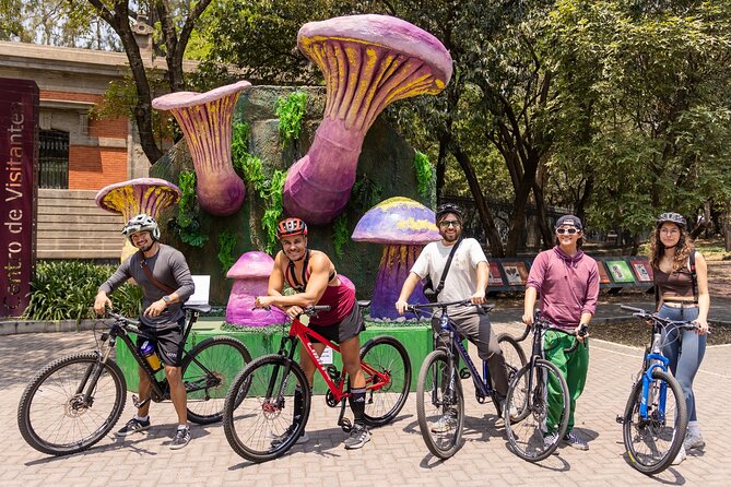Chapultepec Castle or Anthropology Museum bike tour - Mexica culture in the Anthropology Museum