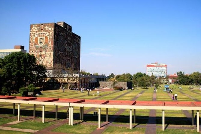 City Tour and Xochimilco Floating gardens - Coyoacán, Frida Kahlo, and a slower southern mood