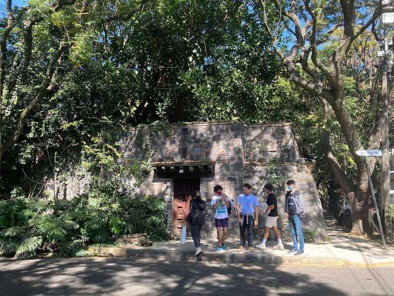 COYOACAN: FRIDA KAHLO STEPS IN COYOACAN AND SAN ANGEL CDMX - Key points before you book