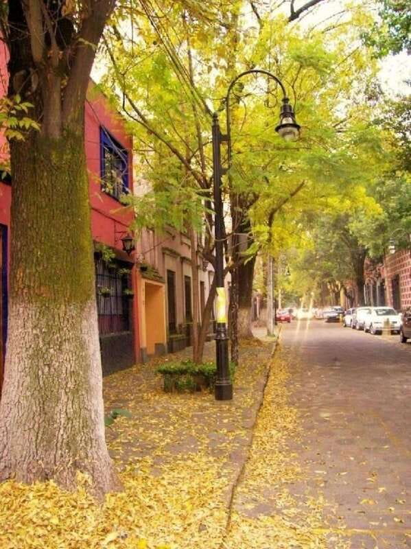 COYOACAN: FRIDA KAHLO STEPS IN COYOACAN AND SAN ANGEL CDMX - Coyoacán Market: food, crafts, and 20 minutes to shop
