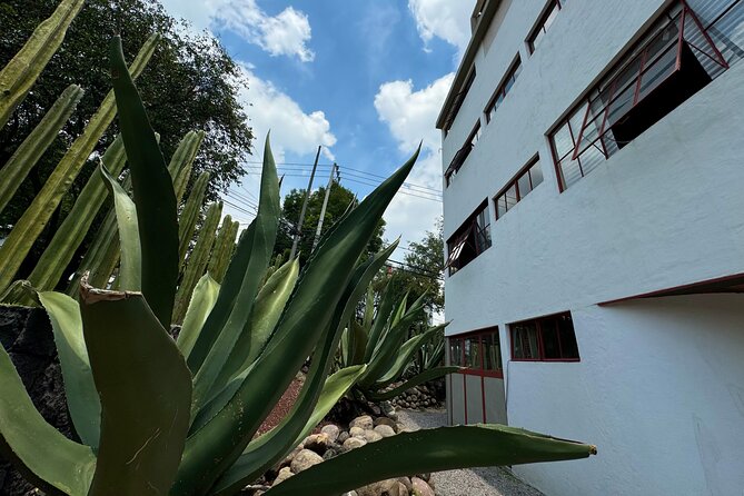 Diego Rivera Frida Kahlo Studio House Tour - Diego Rivera’s studio: the strongest part of the visit