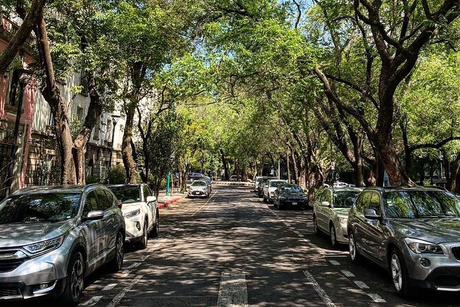 Epic Condesa and Roma Norte Walking Tour - Ending at Huerto Roma Verde