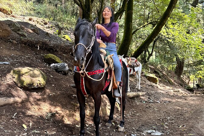 Exclusive Horseback Ride w/ Mexican Charros Family in México City - From central CDMX to the forests of Los Dinamos