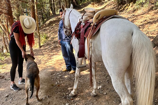 Exclusive Horseback Ride w/ Mexican Charros Family in México City - Weather, timing, and practical details