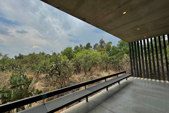 EXCLUSIVE TOUR at Diego Rivera Anahuacalli Museum - Small Groups - What the guide adds to the admission ticket