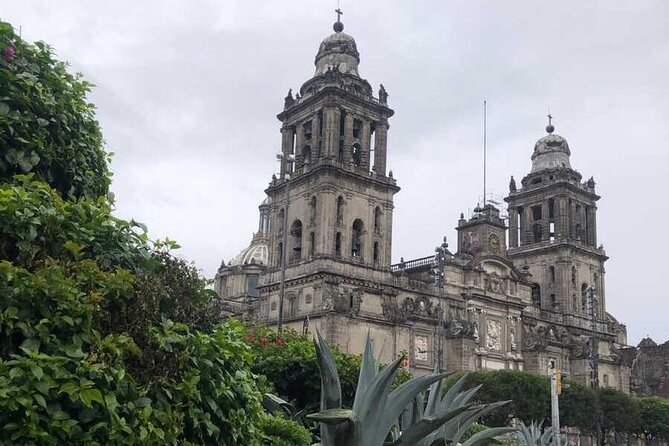 EXCLUSIVE TOUR Metropolitan Cathedral - Small Groups - Key points to know before booking