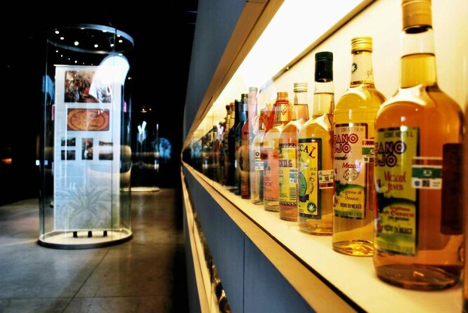 EXCLUSIVE TOUR Tequila & Mezcal - small groups - Key points at a glance