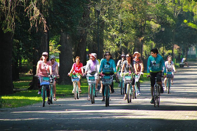 Explore Chapultepec & Mexico City sights by Bike - Chapultepec Park, the green heart of the route