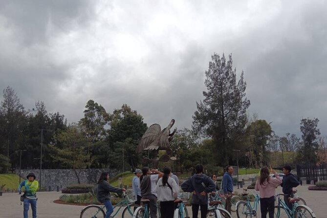 Explore Chapultepec & Mexico City sights by Bike - Price, pace, and practical value
