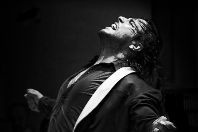 Flamenco Live Show and Dinner in Mexico City - Key points before you book