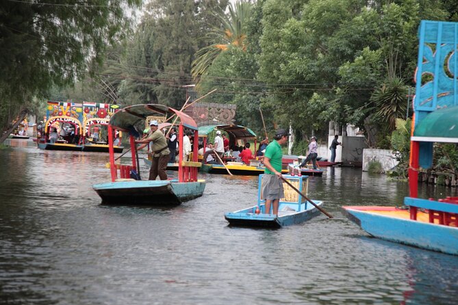 Floating Flower Gardens Of Xochimilco with a Local: Private & Personalized - The ecological park and native wildlife