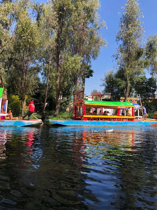 "Floating Party in Xochimilco: Canals, Tequila, and Tradition" - Key points to know before booking