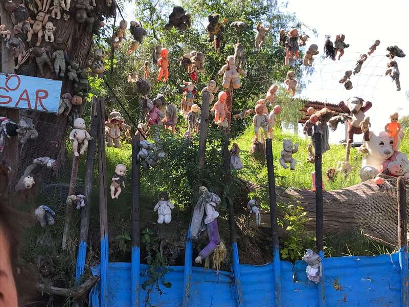 "Floating Party in Xochimilco: Canals, Tequila, and Tradition" - Why Xochimilco works so well from a boat