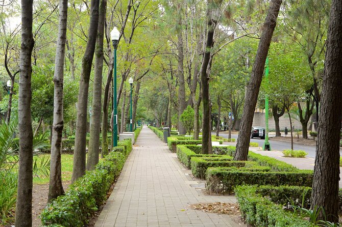 Foodie Tour in Polanco: Mexico Culinary roots! - Why Polanco makes a good food base