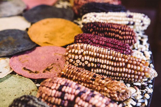 Foodie Tour in Polanco: Mexico Culinary roots! - Isaac Newton Avenue and chef-led cooking